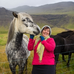Neeley found a grey horse that she was trying to figure out if it was \"carryon\" or \"hold\" luggage.