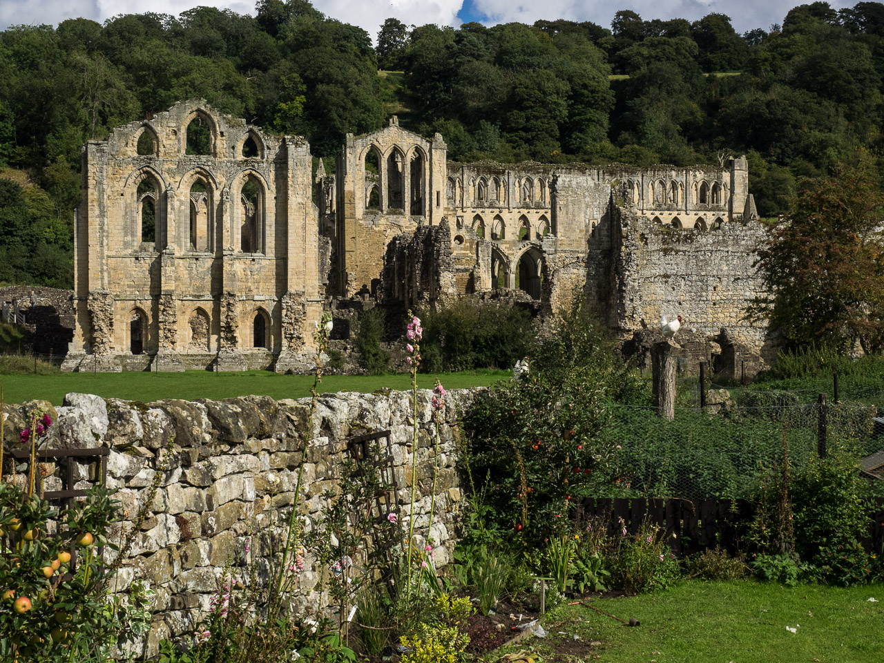 Rievaulx Abbey