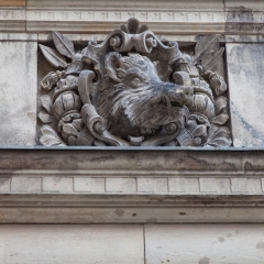 Detail of wild boar found while walking in Dresden
