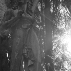 Cimitero Acattolico of Rome